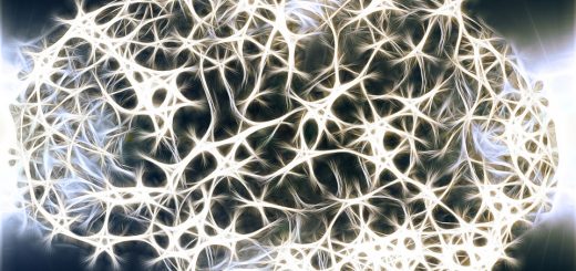 quanti neuroni abbiamo