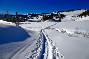 in mezzo alla natura